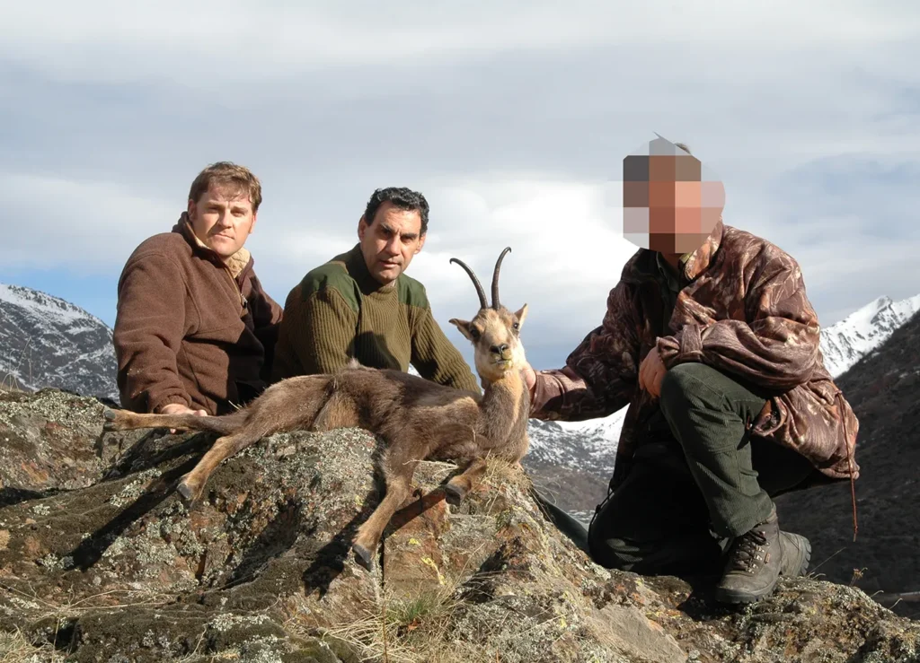 Sarrio pirenaico cazado en cacería organizada por BOAZU Huntings
